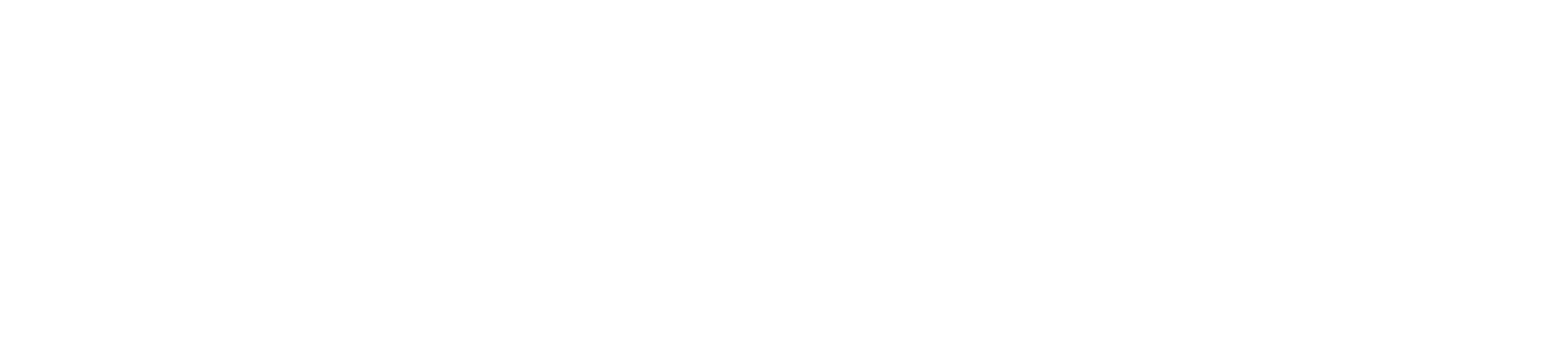 C-B-Elite Service
